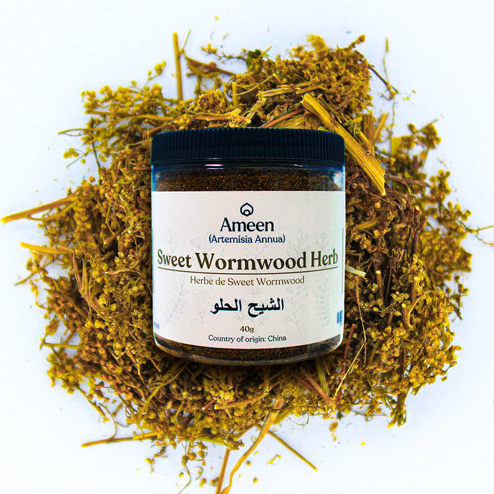 Botanical Name: Artemisia annua
Common Names:
English: Sweet Wormwood, Sweet Annie, Annual Wormwood, Sweet Sagewort, Annual Mugwort
Chinese: 青蒿 (Qīng Hāo), 黄花蒿 (Huáng Huā Hāo)
French: Armoise Annuelle
Other Names: Ching-Hao, Wormseed, Qinghao, Sweet Annie Plant, Chinese Wormwood