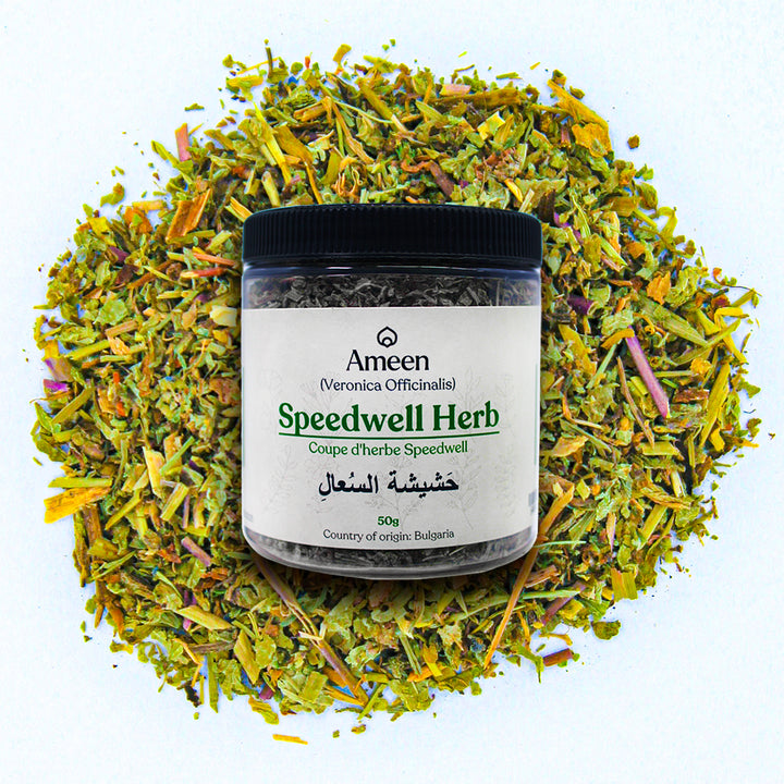 Botanical Name: Veronica officinalis
Common Names:
English: Speedwell, Common Speedwell, Gypsyweed, Paul's Betony, Bird’s Eye, Cat’s Eye, Pigeonweed, Fluellin
French: Véronique, Thé d’Europe, Thé du Nord
German: Ehrenpreiskraut
Other: Herbe aux Ladres, Triaca, Ground-Hele
