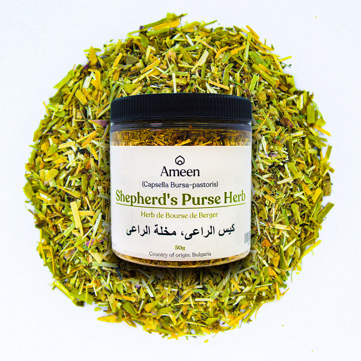 Botanical Name: Capsella bursa-pastoris
Common Names:
English: Shepherd's Purse, Lady's Purse, Mother's Heart
French: Bourse à Pasteur, Herbe aux Bourses
German: Hirtentäschel, Schafgarbe
Italian: Borsa di Pastore
Other: Bolsa de Pastor, Tiền Liệt Nữ, Pickpurse, Witches' Pouches, Wandelröschen