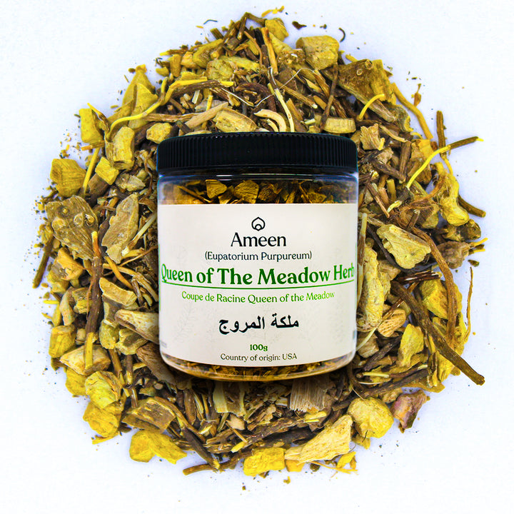 Queen Of The Meadow Herb