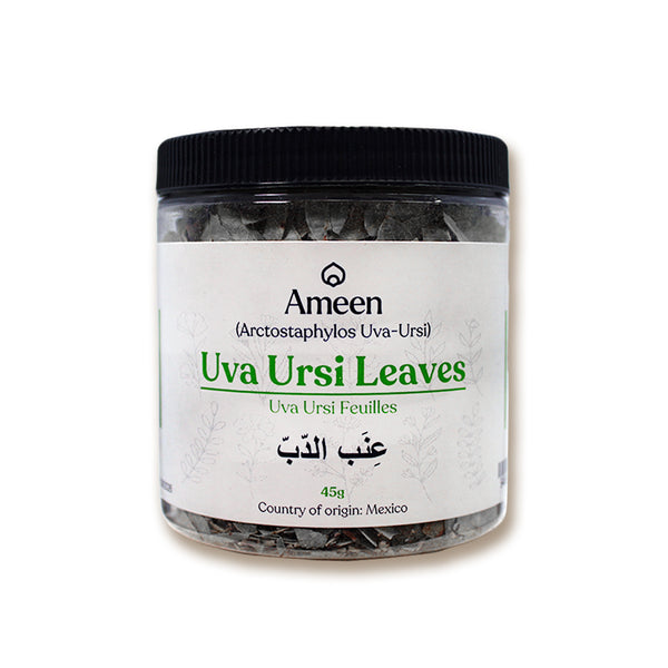 Botanical Name: Arctostaphylos uva-ursi
Common Names:
English: Uva Ursi, Bearberry, Kinnikinnick, Hogberry, Upland Cranberry, Rockberry, Sandberry, Crowberry
Spanish: Uva de Oso
French: Busserole, Raisin d’Ours
German: Bärentraube
Arabic: عنب الدب (Inab al-Dubb)
Chinese: 熊果 (Xióng guǒ)
Russian: Толокнянка (Toloknyanka) Botanical Name: Arctostaphylos uva-ursi
Common Names:
English: Uva Ursi, Bearberry, Kinnikinnick, Hogberry, Upland Cranberry, Rockberry, Sandberry, Crowberry
Spanish: Uva de Oso
French: Busserole, Raisin d’Ours
German: Bärentraube
Arabic: عنب الدب (Inab al-Dubb)
Chinese: 熊果 (Xióng guǒ)
Russian: Толокнянка (Toloknyanka)