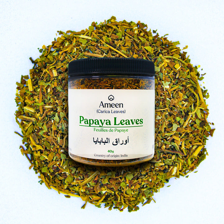 Botanical Name: Carica papaya
Common Names: Papaya Leaves, Pawpaw Leaves, Tree Melon Leaves, Carica Papaya Leaves, Papaw Leaves, Papitaa, Papaiyu, Thimbaw, Papye