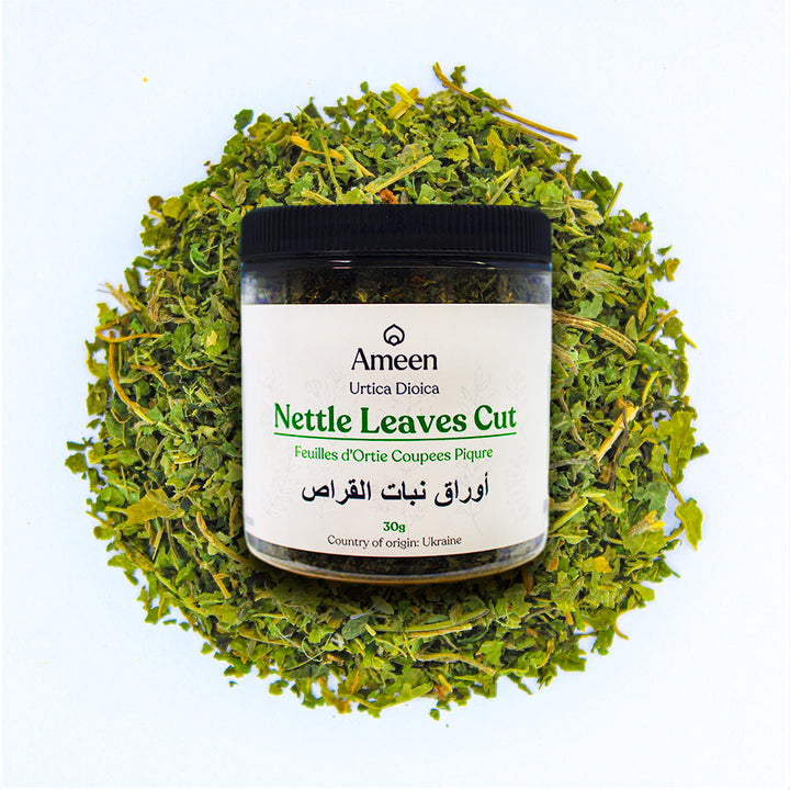 Botanical Name: Urtica dioica
Common Names: Stinging Nettle, Common Nettle, Nettle Leaf, Nettleweed, Ortiga, Brennessel, Ortica, Nessel, Grande Ortie, Ortiga Mayor, Jiu Wang Ye, Gharbha, Chichicaste, Kopriva, Krapivnica, Nælde, Nõges, Pihlaja, Zhuldar, Shishka, Takip-kohol, Dara Hujan, Singoalaga