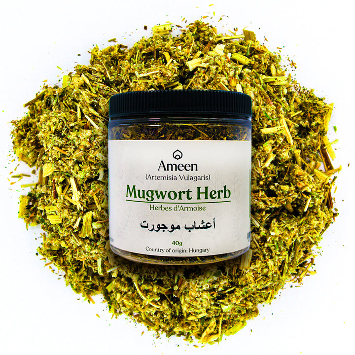 mugwort herb, artemisia vulgaris, Old man, old uncle Henry, chrysanthemum weed, wild wormwood, cronewort, moxa, sailor's tobacco, felon herb, muggons, indian wormwood, artemisia, cronewort, common wormwood, felon herb, wild wormwood, sailor's tobacco, chrysanthemum weed, and St. John's plant