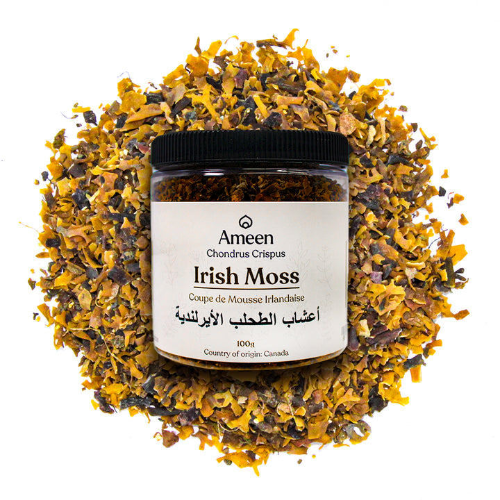 Irish Moss, Carrageen, Dorset Weed, Jelly Moss, الطحلب الأيرلندي, خزه ایرلندی, carrageen moss, Chondrus crispus, carrageen, carraigin, pearl moss, moss of the rocks, seaweed moss, sea moss, musgo de Irlanda, Irish Moss, Chondrus crispus, Carrageen Moss, Carageenan Moss, Sea Moss, Carrageen, Chrondrus, Purple Moss, Red Moss, Rock Moss, and Sea Vegetable