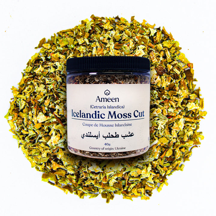 Icelandic Moss, Cetraria islandica, Fjallagras, Fjallavetriljós, Frumsli, Islandsk mos, Kramlav, Lungsíld, Lungsíla, Lungwort, Rökkurófifi, Vetrarmos, Vadikarfi, Hjúpur, Moosbeere, Islandsk lav, Islandia, Rosal, Rosalía, Rosolía, and Rundbarr, Shaileya, Svinmasa, Stagno, Charela, Matmasa, Iceland Liver Wort, Lichen d'Islande, Liquen de islandia, الطحلب الأيسلندي , خزه ایسلندی