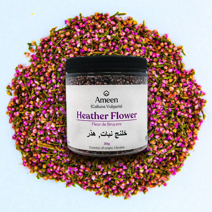 Common Heather, Fraoch, Broom Heather, Brendolo, Breyo, Ling, Brande, Scotch Heather, Beitilyng,  زهرة هيذر, Ling, Scotch Heather, Common Heather, Ling Heather, Heather Bell, Heather Blossom, Heather-bell, Heather-blossom, Heather-bush, Heatherling, Ling, Heatherette, Heath, Heather Plant, Bell Heather, Heather Shrub, Heather Stray, Ling Heather, Scots Heather, Fraoch, Froach, Hether, Ling Plant, Heather Moorland, Erica vulgaris, Erica cinerea, Heather Flower