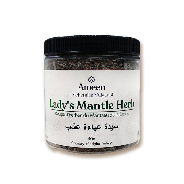 Alchemilla vulgaris, Lady's Mantle, Alchemilla vulgaris, Lion's foot, Nine Hooks, Bear's Foot, Dew cup, leontopodium, Nine Hooks, Stellaria, lady's cloak, leontopetalon, leontopetalum Alchemilla vulgaris, Lady's Mantle, Alchemilla vulgaris, Lion's foot, Nine Hooks, Bear's Foot, Dew cup, leontopodium, Nine Hooks, Stellaria, lady's cloak, leontopetalon, leontopetalum