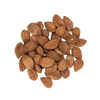 Apricot Seeds
