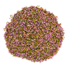 Common Heather, Fraoch, Broom Heather, Brendolo, Breyo, Ling, Brande, Scotch Heather, Beitilyng,  زهرة هيذر, Ling, Scotch Heather, Common Heather, Ling Heather, Heather Bell, Heather Blossom, Heather-bell, Heather-blossom, Heather-bush, Heatherling, Ling, Heatherette, Heath, Heather Plant, Bell Heather, Heather Shrub, Heather Stray, Ling Heather, Scots Heather, Fraoch, Froach, Hether, Ling Plant, Heather Moorland, Erica vulgaris, Erica cinerea, Heather Flower
