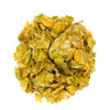 Hops flower, Humulus lupulus, Hopfen, Houblon, Lupulo, Lúpulo, Houblon commun, Humle, Omoa, Ombú, Bine, Vřes, Chmel, Chmiel, Szőlőcserje, Luppolo, Humulus, Chmiel zwyczajny, Šišák chmelový, Kvindehan, Wilder Hopfen, Хмель, Hmelyu, Хмел, Hopfenblüte, and Yabani şerbetçiotu, Willow wolf, Common Hops, Lupulo, Hopfen, Houblon , زهرة القفزات, گل رازک
