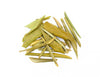 Olive leaves, Olea europaea, Olea europaea leaves, Olive leaf foliage, Olive tree leaves, Common olive leaves, European olive leaves, Oleaster leaves, Olive branch leaves, Sacred olive leaves, Wild olive leaves, Ancient olive leaves, Olive leaf extract, Olea leaves, Olive leaf tea
