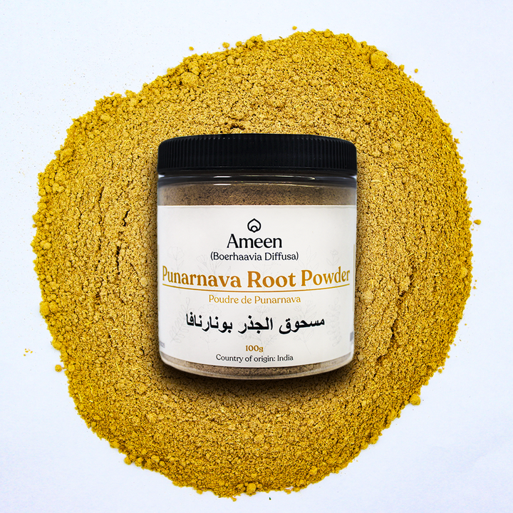 Punarnava Root Powder, Botanical Name: Boerhavia diffusa
Common Names: Punarnava Root Powder, Spreading Hogweed, Red Spiderling, Tarvine, Gadabani, Ativishaa, Sanadika, Shothaghni, Varshabhu, Rakta Punarnava, Lal Punarnava, and Saptaparni.