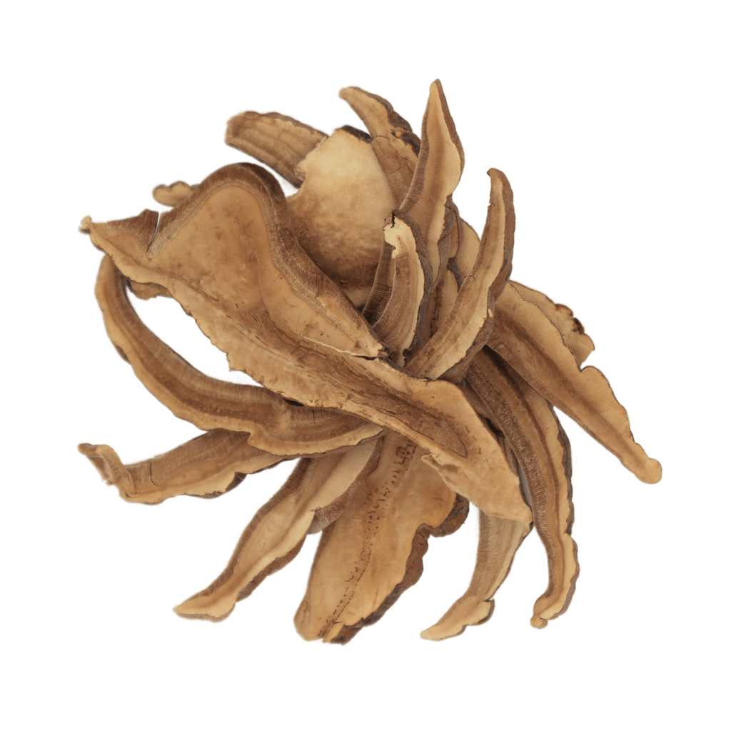 Reishi Mushroom Ameen