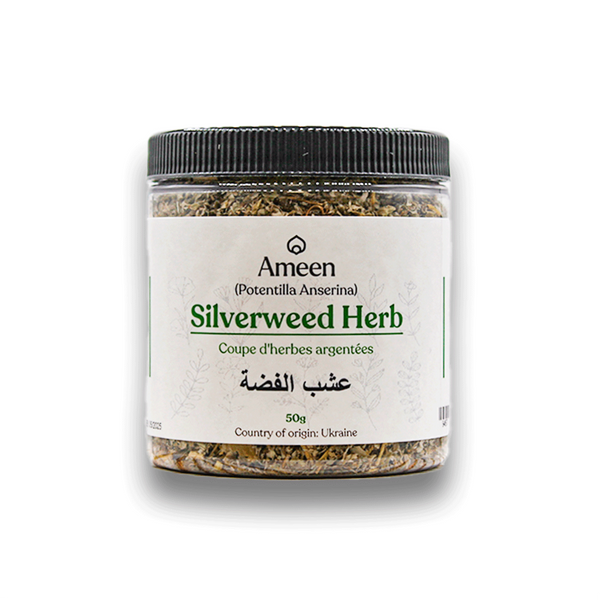 Botanical Name: Potentilla anserina
Common Names:
English: Silverweed, Goosegrass, Wild Tansy, Common Silverweed
French: Pied de Chien, Anserine
German: Silberkraut, Gänsefingerkraut
Scandinavian: Gässört (Swedish), Gåsefot (Norwegian), Hanensfot (Danish)
Other Names: Goose-tansy, Marsh Potentilla, Moor Grass, Wild Gooseweed, Anserine Goosefoot, Sormisara, Suokki Botanical Name: Potentilla anserina
Common Names:
English: Silverweed, Goosegrass, Wild Tansy, Common Silverweed
French: Pied de Chien, Anserine
German: Silberkraut, Gänsefingerkraut
Scandinavian: Gässört (Swedish), Gåsefot (Norwegian), Hanensfot (Danish)
Other Names: Goose-tansy, Marsh Potentilla, Moor Grass, Wild Gooseweed, Anserine Goosefoot, Sormisara, Suokki