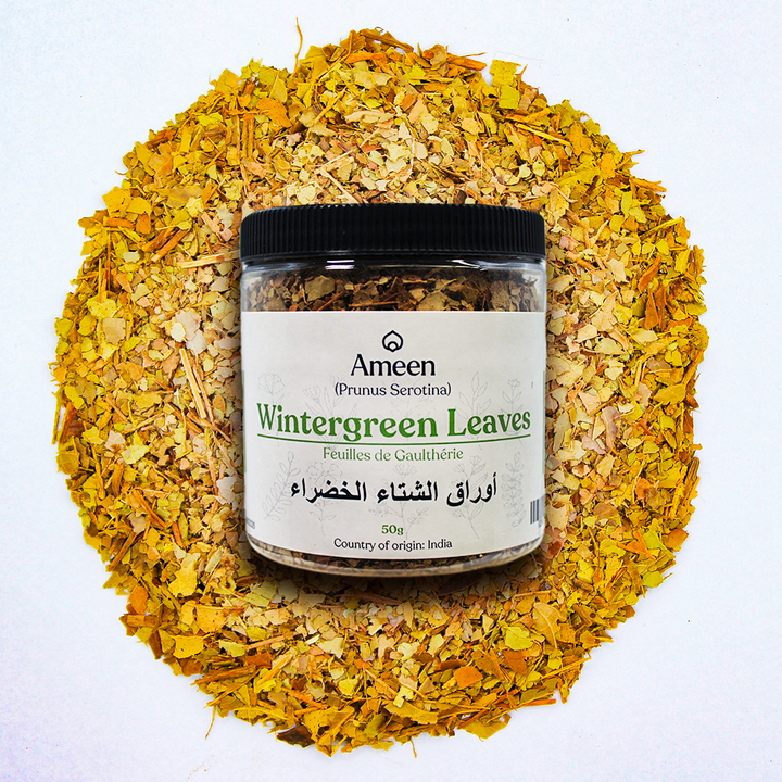 Botanical Name: Gaultheria procumbens
Common Names:
English: Wintergreen, Mountain Tea, Teaberry
French: Gaulthérie Couchée, Thé des Bois
German: Wintergrün, Waldteekraut
Spanish: Gaulteria, Té de Montaña
Other: Ground Berry, Boxberry, Deerberry, Wax Cluster, Checkerberry, Canada Tea, Partridge Berry