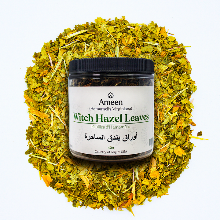 Botanical Name: Hamamelis virginiana
Common Names:
English: Witch Hazel, American Witch Hazel, Winter Bloom
French: Hamamélis de Virginie
German: Virginische Zaubernuss
Spanish: Hamamelis, Avellano de Bruja
Other: Snapping Hazel, Spotted Alder, Striped Alder, Winterbloom, Goldbloom