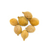 Bibhitaki, Terminalia bellirica, Bahera, Beleric, Baheda Fruit, Beheda, Barro, Thani, Aksha, Vibhitaki, Bastard Myrobalan, बहेड़ा , بہیرہ , Kadukkai , Baheda Kaya , Baheda Puli, and Tanikaya