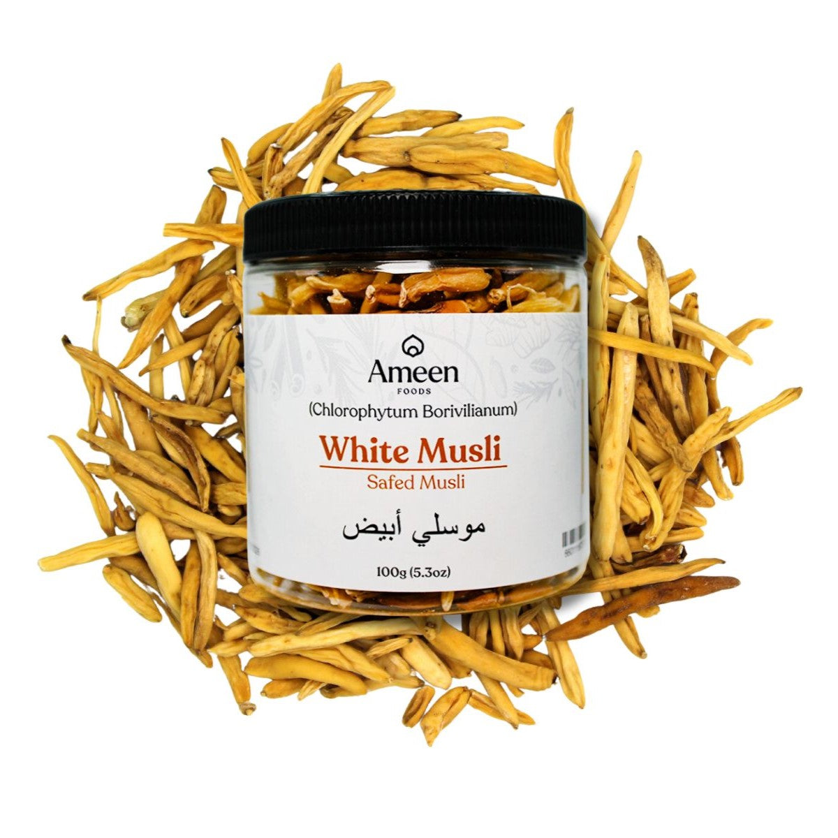 chlorophytum borivilianum in hindi White Musli Whole