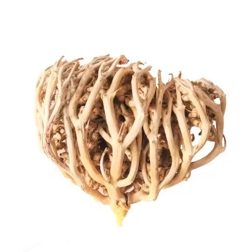 Mushrooms & Specialty Botanicals