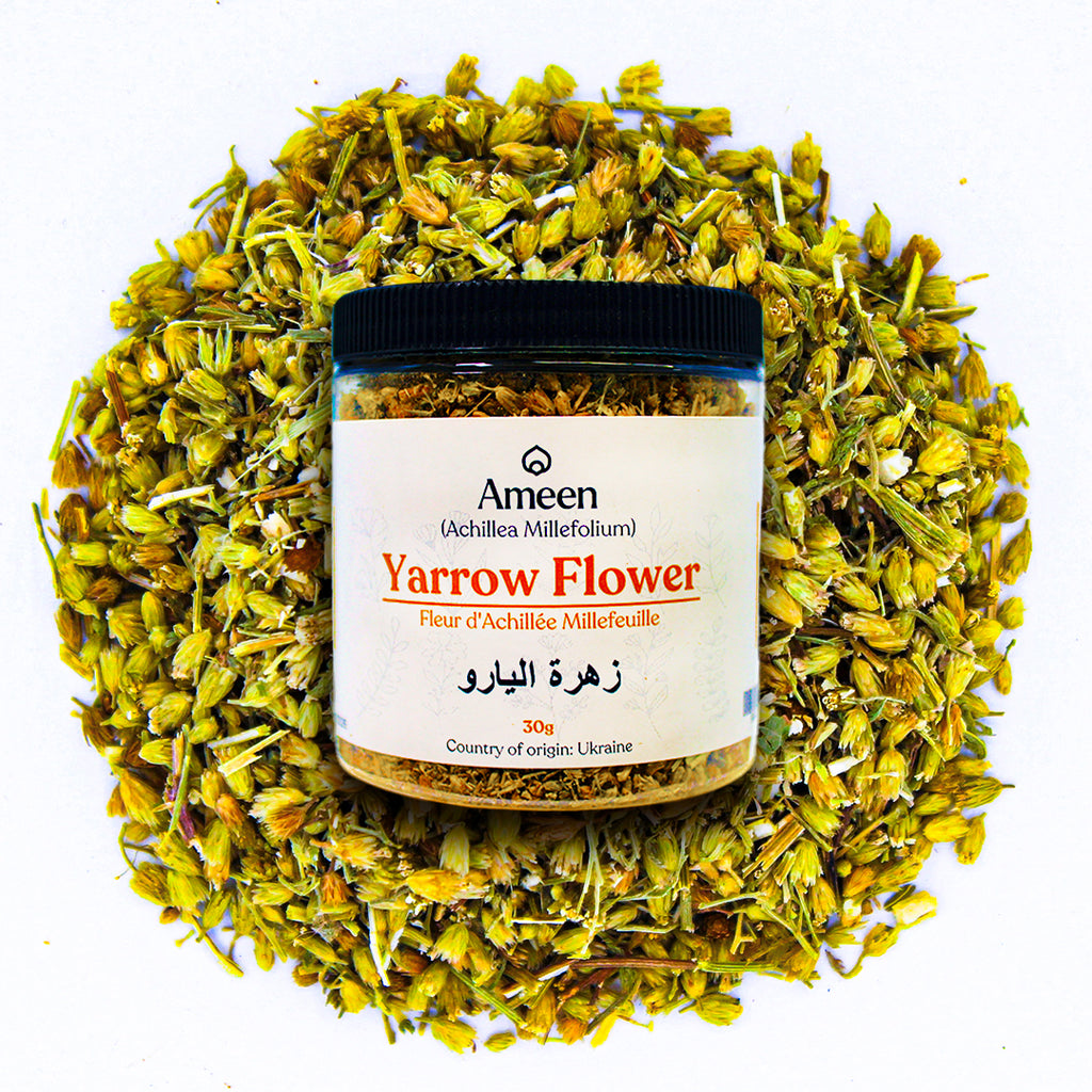 Botanical Name: Achillea millefolium

Common Names:

English: Yarrow, Milfoil, Thousand-leaf, Bloodwort, Soldier’s Woundwort
French: Herbe de Saint-Joseph, Millefeuille
Spanish: Milenrama, Plumajillo, Hierba de las Cortaduras
German: Schafgarbe, Tausendaugenkraut
Other: Gordaldo, Devil’s Nettle, Old-Man’s-Pepper, Staunchweed