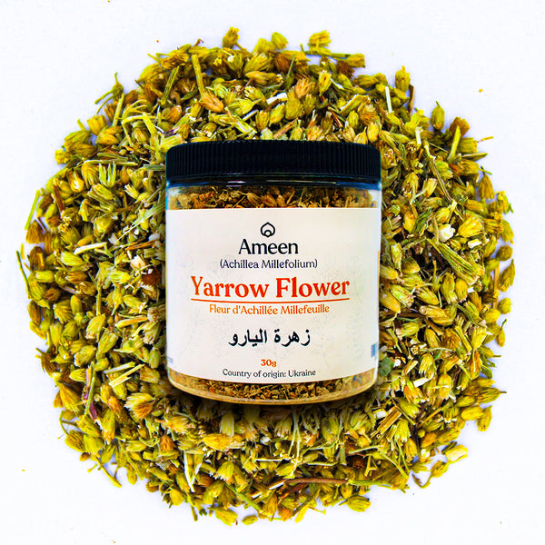 Yarrow Flower