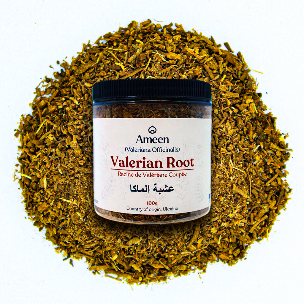 Botanical Name: Valeriana officinalis

Common Names:

English: Valerian Root, Garden Valerian, All-Heal, Garden Heliotrope
French: Valériane officinale, Herbe de Saint-Georges
German: Baldrianwurzel, Katzenkraut
Spanish: Valeriana, Amantilla
Arabic: جذر حشيشة الهر (Jathar Hashishat Al-Hirr)
Chinese: 缬草的根 (Xié cǎo de gēn)
Greek: Βαλεριάνα ρίζα (Valeriána riza)
Hindi: टैगर (Tagar), नका (Naka)