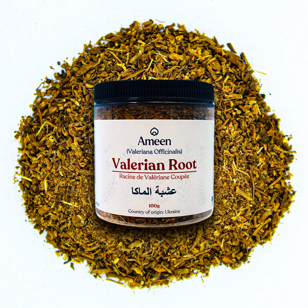 Botanical Name: Valeriana officinalis

Common Names:

English: Valerian Root, Garden Valerian, All-Heal, Garden Heliotrope
French: Valériane officinale, Herbe de Saint-Georges
German: Baldrianwurzel, Katzenkraut
Spanish: Valeriana, Amantilla
Arabic: جذر حشيشة الهر (Jathar Hashishat Al-Hirr)
Chinese: 缬草的根 (Xié cǎo de gēn)
Greek: Βαλεριάνα ρίζα (Valeriána riza)
Hindi: टैगर (Tagar), नका (Naka)