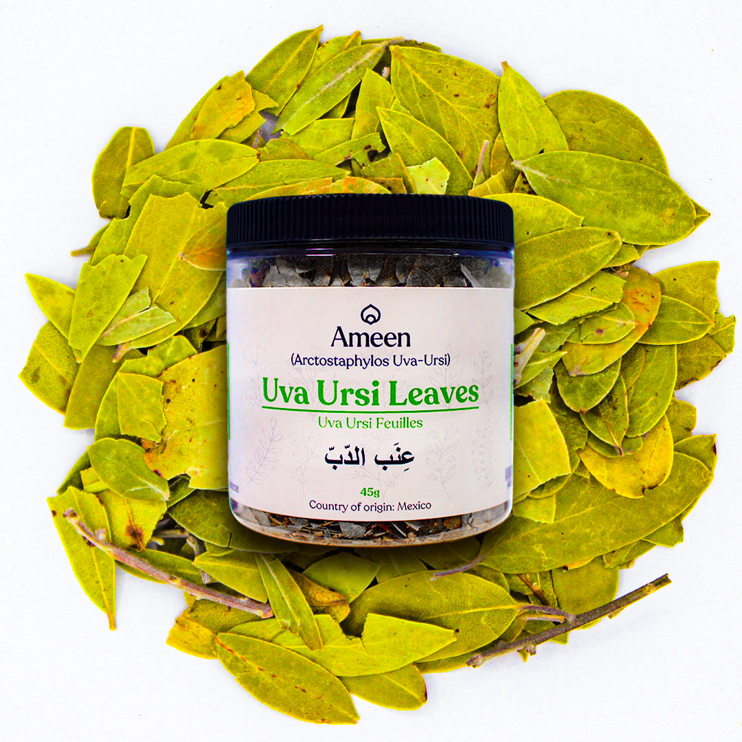 Botanical Name: Arctostaphylos uva-ursi

Common Names:

English: Uva Ursi, Bearberry, Kinnikinnick, Hogberry, Upland Cranberry, Rockberry, Sandberry, Crowberry
Spanish: Uva de Oso
French: Busserole, Raisin d’Ours
German: Bärentraube
Arabic: عنب الدب (Inab al-Dubb)
Chinese: 熊果 (Xióng guǒ)
Russian: Толокнянка (Toloknyanka)