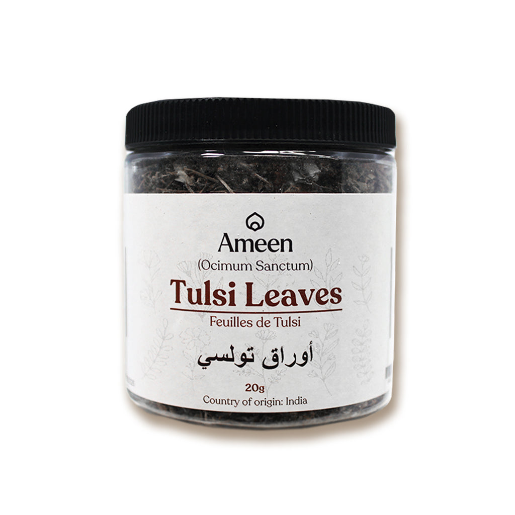 Botanical Name: Ocimum sanctum (Ocimum tenuiflorum)

Common Names:

English: Holy Basil, Sacred Basil, Indian Basil, Tulsi, Elixir of Life
Sanskrit: तुलसी (Tulasi, Surasa, Vishnu Priya)
Hindi: तुलसी (Tulsi)
Urdu: تلسی (Tulsi)
Arabic: ريحان مقدس (Rayhan Muqaddas), تولسي (Tulasi)
Chinese: 圣罗勒 (Shèng luólè), 神圣罗勒 (Shénshèng luólè)
Thai: กะเพราศักดิ์สิทธิ์ (Kaprao Sak Sit)
Malay/Indonesian: Selasih India, Daun Tulasi
Tamil: துளசி (Thulasi)
Bengali: তুলসী (Tulsī)
Marathi: तुळस (Tulasa)
French: Basilic Sacré
Span