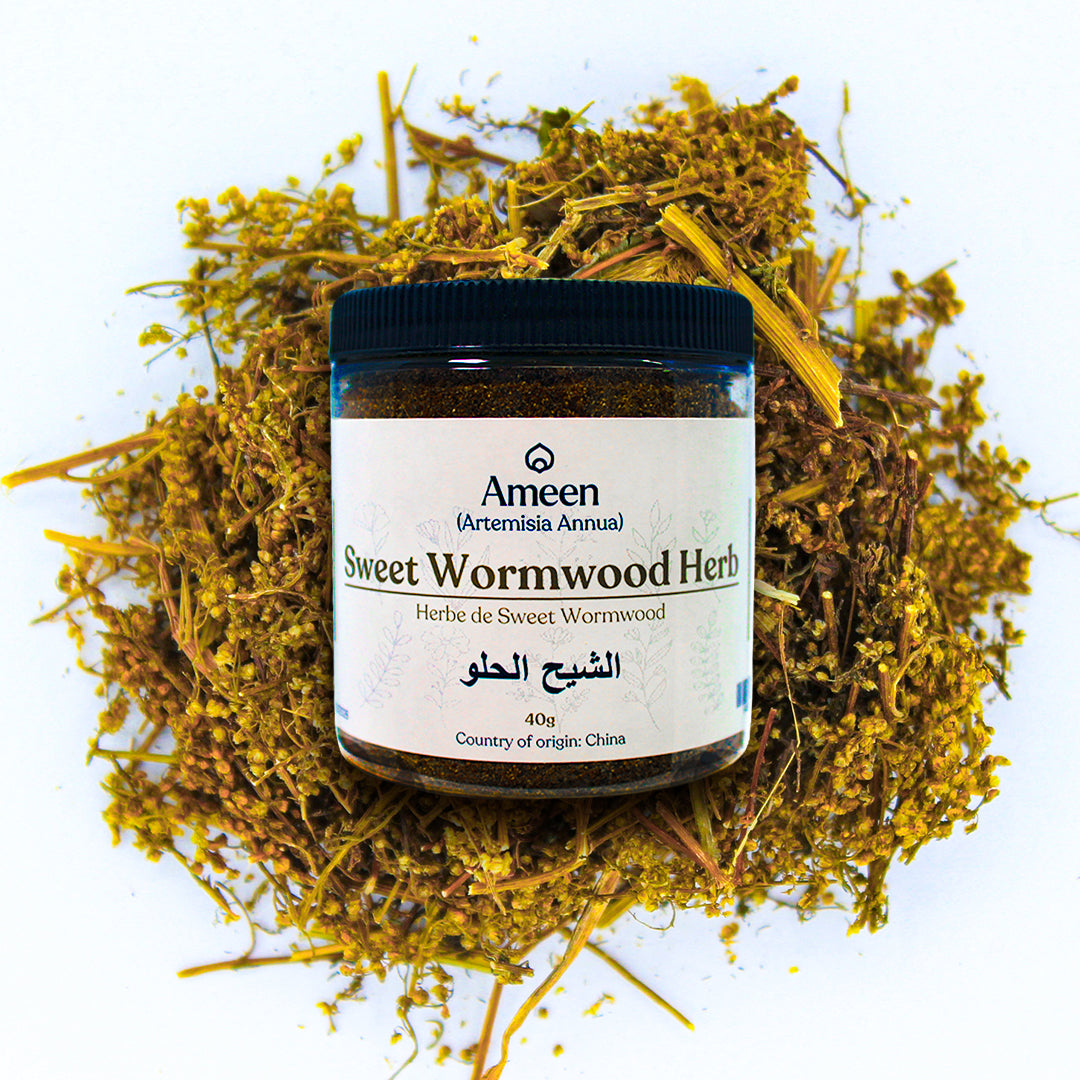 Sweet Wormwood Herb