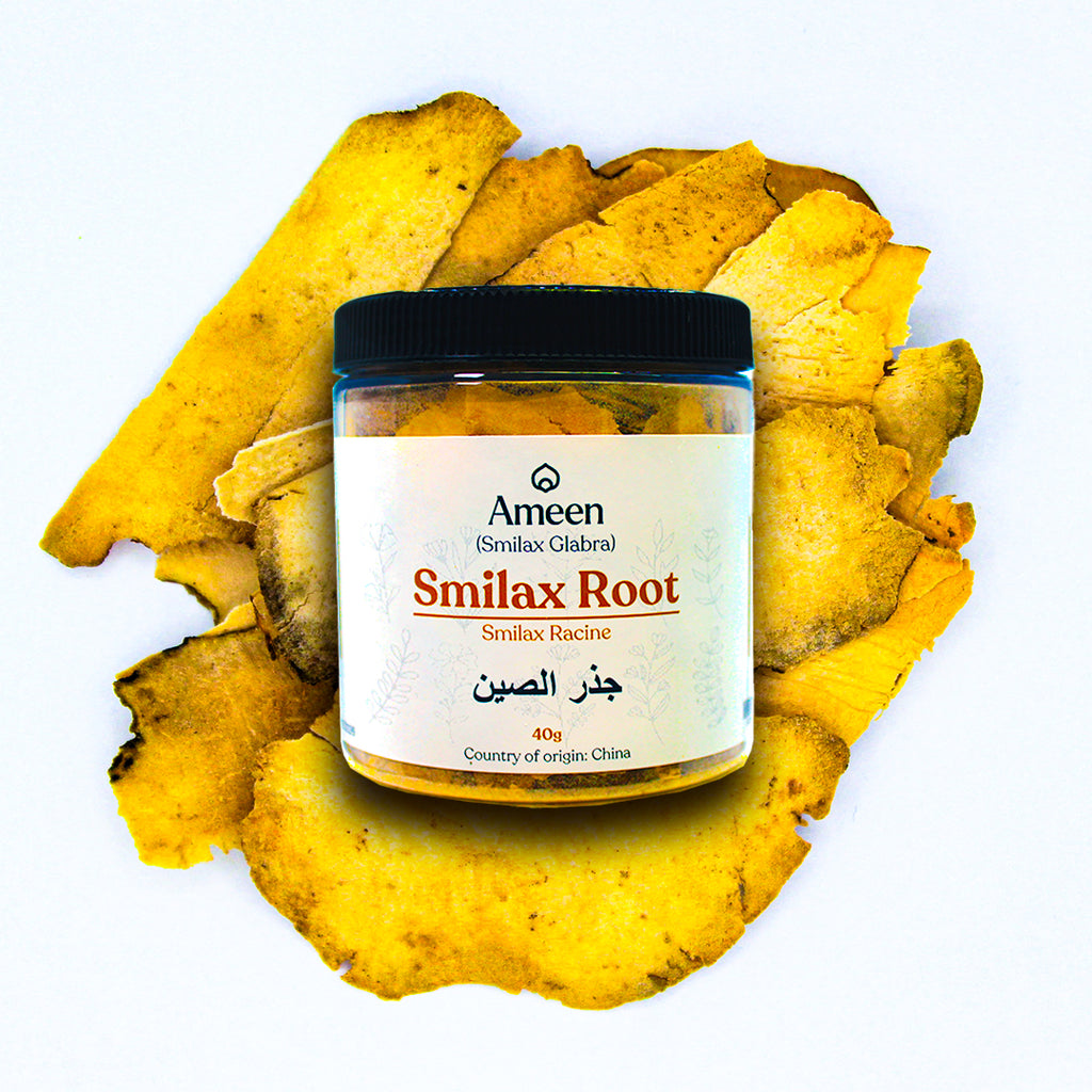 Botanical Name:&nbsp;Smilax Glabra

Also known as: Smilax Root, Sarsaparilla Root, Zarzaparrilla Root, Jamaican Sarsaparilla Root, Honduran Sarsaparilla Root, Mexican Sarsaparilla Root, Jamaican Smilax Root, Red Smilax Root, Smilax officinalis Root, Smilax medica Root, Smilax ornata Root, Smilax regelii Root, Smilax china Root, Smilax febrifuga Root, Smilax aspera Root, Smilax glabra Root, Smilax aristolochiifolia Root, Smilax hispida Root, Smilax aspera var. mauritiana Root, Smilax china Root, Smilax nippo