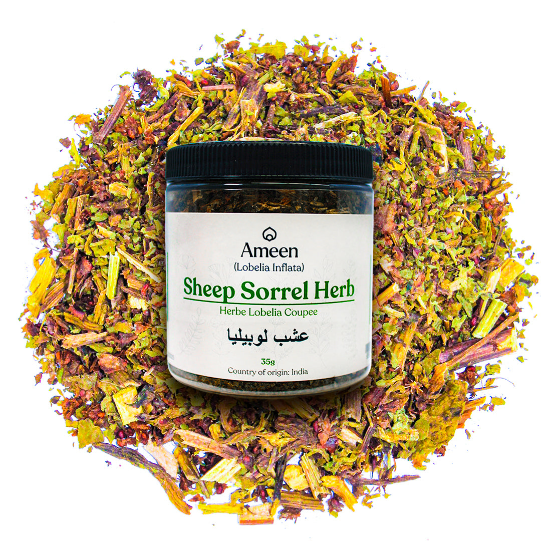 Sheep Sorrel Herb