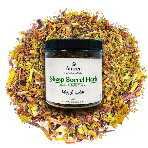 Sheep Sorrel Herb