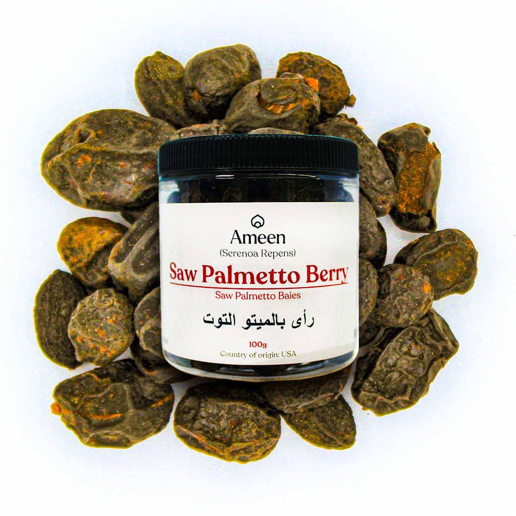 Botanical Name: Serenoa repens
Common Names:
English: Saw Palmetto Berry, Sabal Palm Berry, American Dwarf Palm Berry
Chinese: 锯棕榈浆果 (jù zōng lǘ jiāng guǒ)
Other: Serenoa Fruit, Fan Palm Berry, Sabal Serrulata Berry