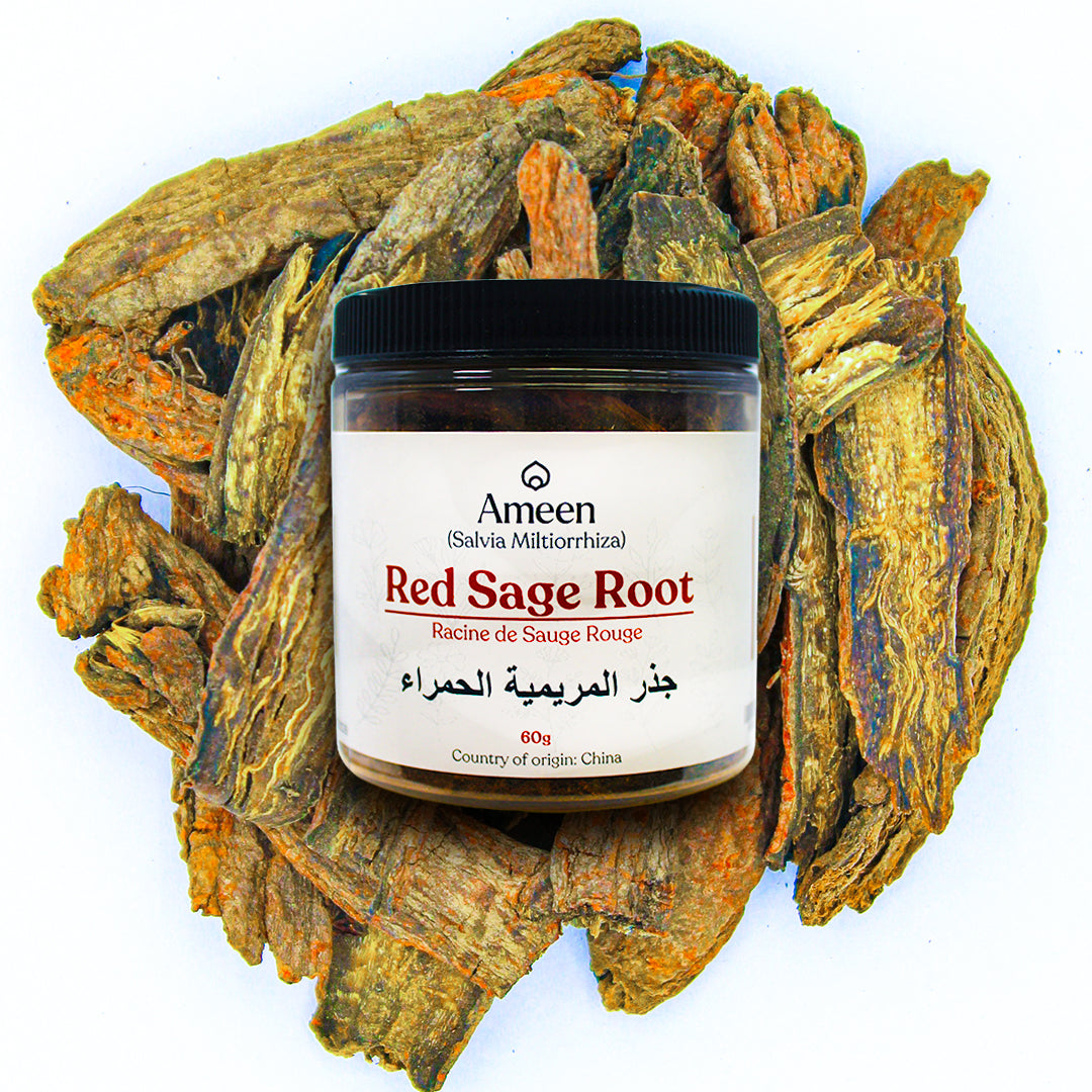Red Sage Root
