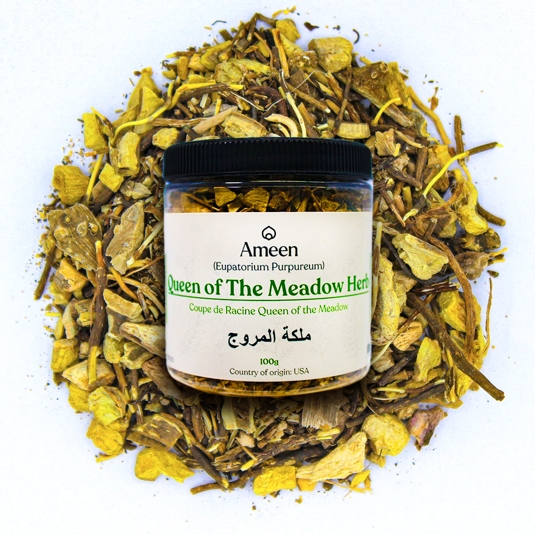 Queen Of The Meadow Herb