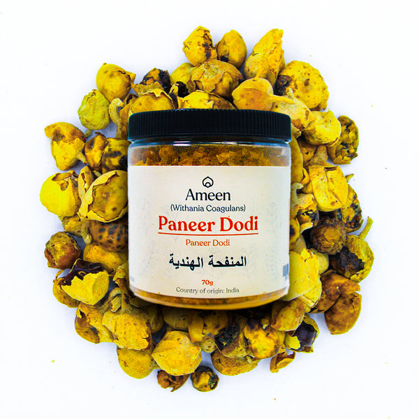 Paneer Dodi (Indian Rennet)
