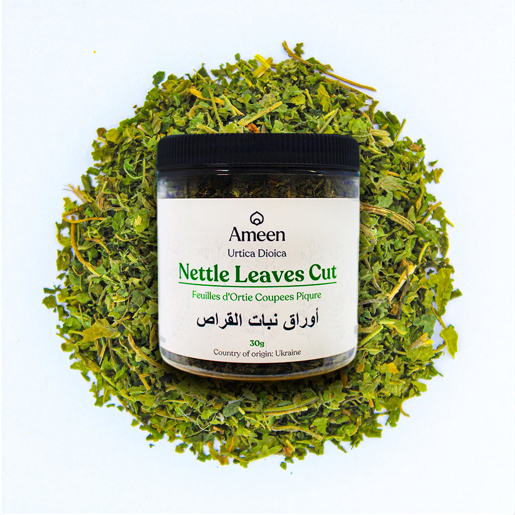 Botanical Name: Urtica dioica
Common Names: Stinging Nettle, Common Nettle, Nettle Leaf, Nettleweed, Ortiga, Brennessel, Ortica, Nessel, Grande Ortie, Ortiga Mayor, Jiu Wang Ye, Gharbha, Chichicaste, Kopriva, Krapivnica, Nælde, Nõges, Pihlaja, Zhuldar, Shishka, Takip-kohol, Dara Hujan, Singoalaga