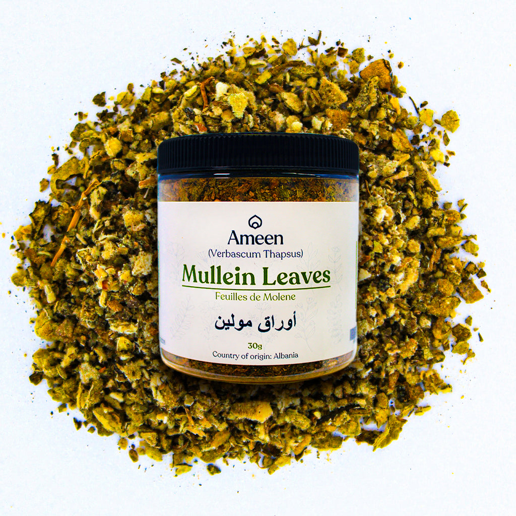 Mullein Leaves,Verbascum thapsus,
Candlewick plant, flannel leaf, velvet plant, felt-wort, tinder plant, Quaker rouge, beggar's blanket, torches, lady's foxglove, Aaron's rod, donkey's ears, hag's taper, witch's candle, common mulluin,&nbsp;Aaron's Rod, Velvet Plant, Torches, Bunny's Ears, Our Lady's Flannel, Jacob's Staff, Flannel Mullein, Great Mullein, Cowboy Toilet Paper, Quaker Rouge, Candlewick Plant