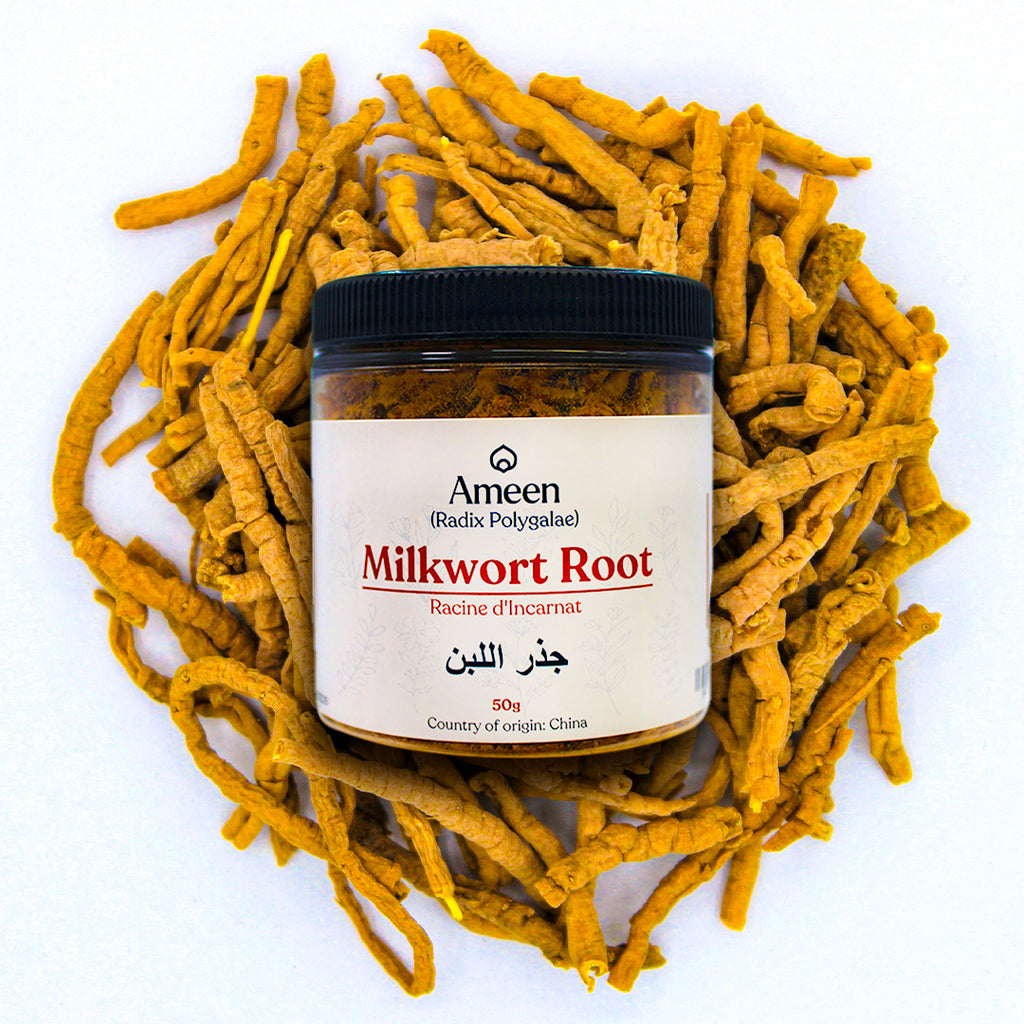 Botanical Name: Polygala tenuifolia
Common Names: Milkwort Root, Radix Polygalae, Yuan Zhi, Seneca Snakeroot, Chinese Senega, Thinleaf Milkwort, Polygala Root, Polygala Senega, Chinese Senega Root, Polygalae Radix, Evergreen Snakeroot, Flowering Wintergreen, Little Pollom, European Bitter Polygala, and Snakeroot.