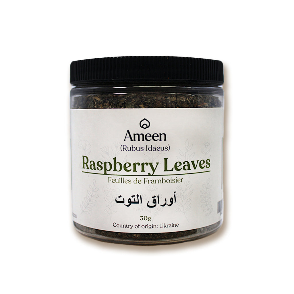 Botanical Name

Rubus idaeus

Also Known As

Framboise, Hindberry, Bramble, Red Raspberry, European Raspberry, American Raspberry, Garden Raspberry, Framboise Rouge, Rubi Fruticosi Folium, Raspbis, Hindberjumblað, Hallonblad, Ahududu Yaprağı, Himbeerblätter, Lampone Foglie, Malina Listi, Malinova Listi, Mora Listi, Vishnukranti Patta, Merunov Yavnishan, Hallonlöv, Himbeerenblätter, Himbeerbladeren, Himbeerenblättertee, Malinové Listy, and Mora Lista.