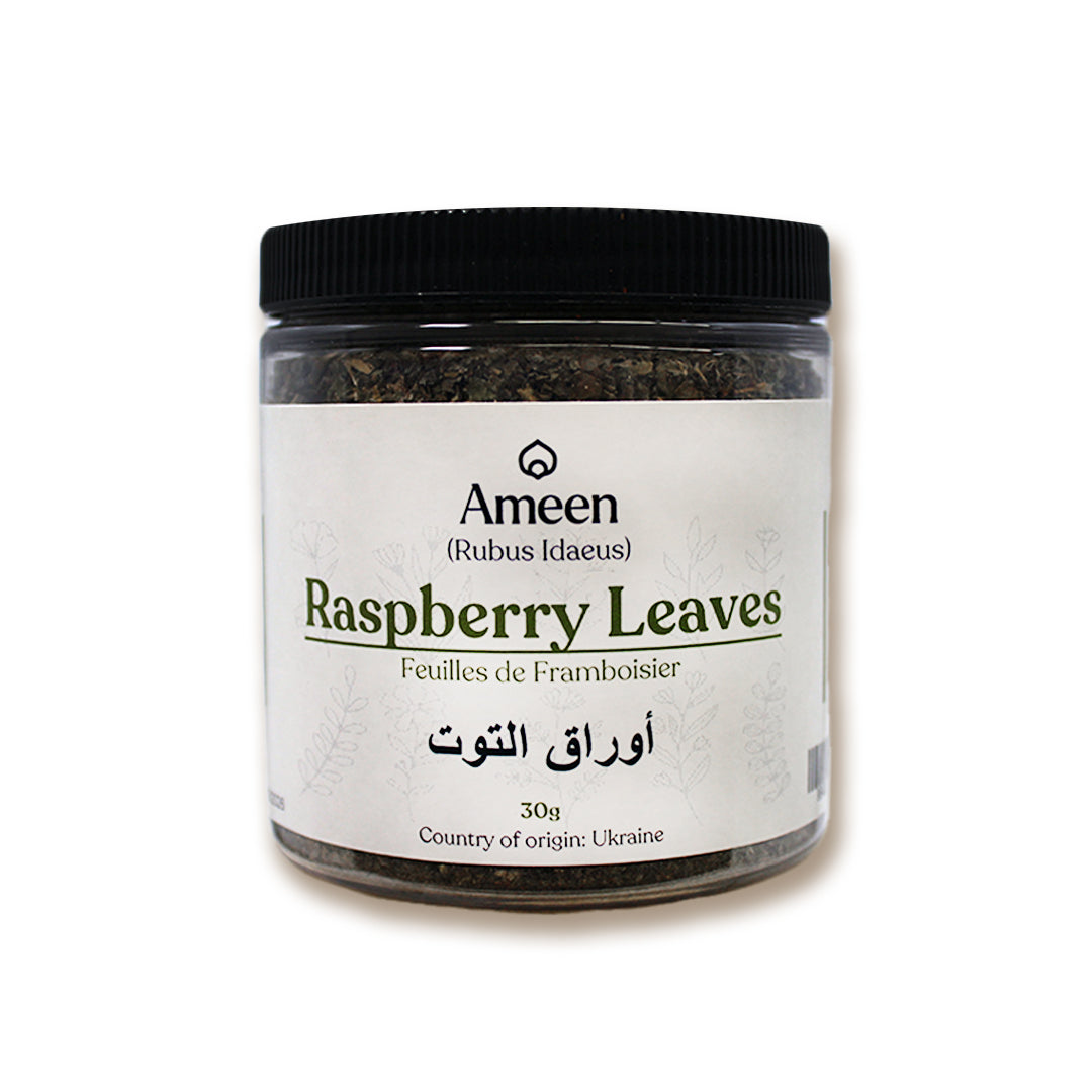 Botanical Name

Rubus idaeus

Also Known As

Framboise, Hindberry, Bramble, Red Raspberry, European Raspberry, American Raspberry, Garden Raspberry, Framboise Rouge, Rubi Fruticosi Folium, Raspbis, Hindberjumblað, Hallonblad, Ahududu Yaprağı, Himbeerblätter, Lampone Foglie, Malina Listi, Malinova Listi, Mora Listi, Vishnukranti Patta, Merunov Yavnishan, Hallonlöv, Himbeerenblätter, Himbeerbladeren, Himbeerenblättertee, Malinové Listy, and Mora Lista.