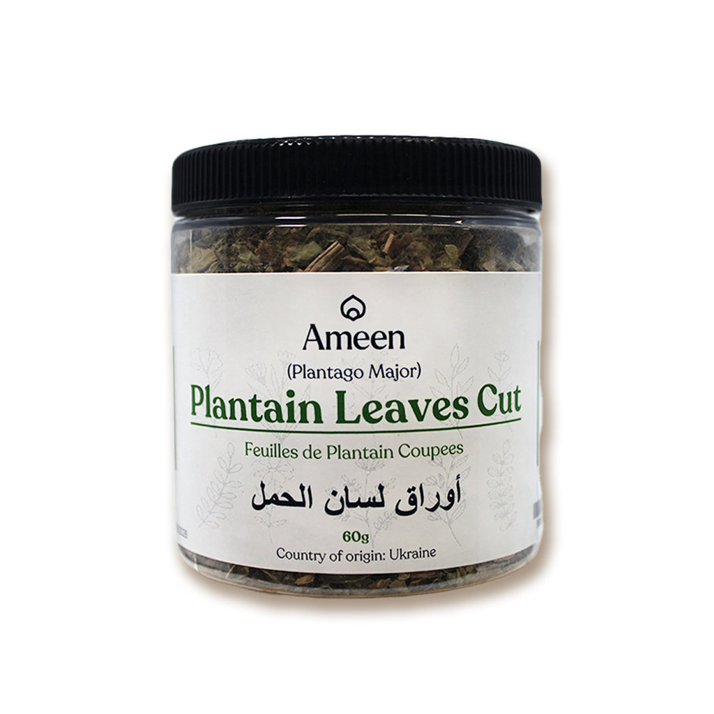 plantain Leaves, Botanical Name: Plantago major
Common Names: Broadleaf Plantain, Greater Plantain, Common Plantain, Waybread, Snakeweed, Ripple Grass, White Man's Foot, Slanlus, Plantain à Feuilles Larges (French), Llantén Mayor (Spanish), Wegerich (German), Goç Dikenotu (Turkish), Chà Đà Lạt (Vietnamese), Svetlina (Russian), Abrojo Blanco (Italian), Semalu Pokok (Malay), Plantago Comum (Portuguese), and Kalluballi (Kannada).