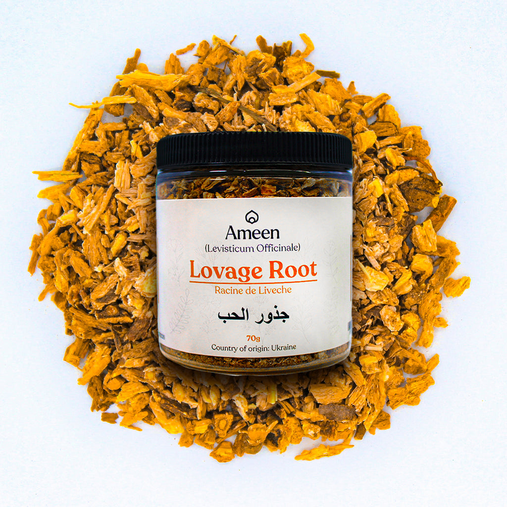 Botanical Name: Levisticum officinale
Common Names: Smellage, Maggi Plant, Old English Lovage, Ligusticum, Levisticum, Sea Parsley, Love Parsley, Italian Lovage, Wild Celery, Smallage, Ajmoda