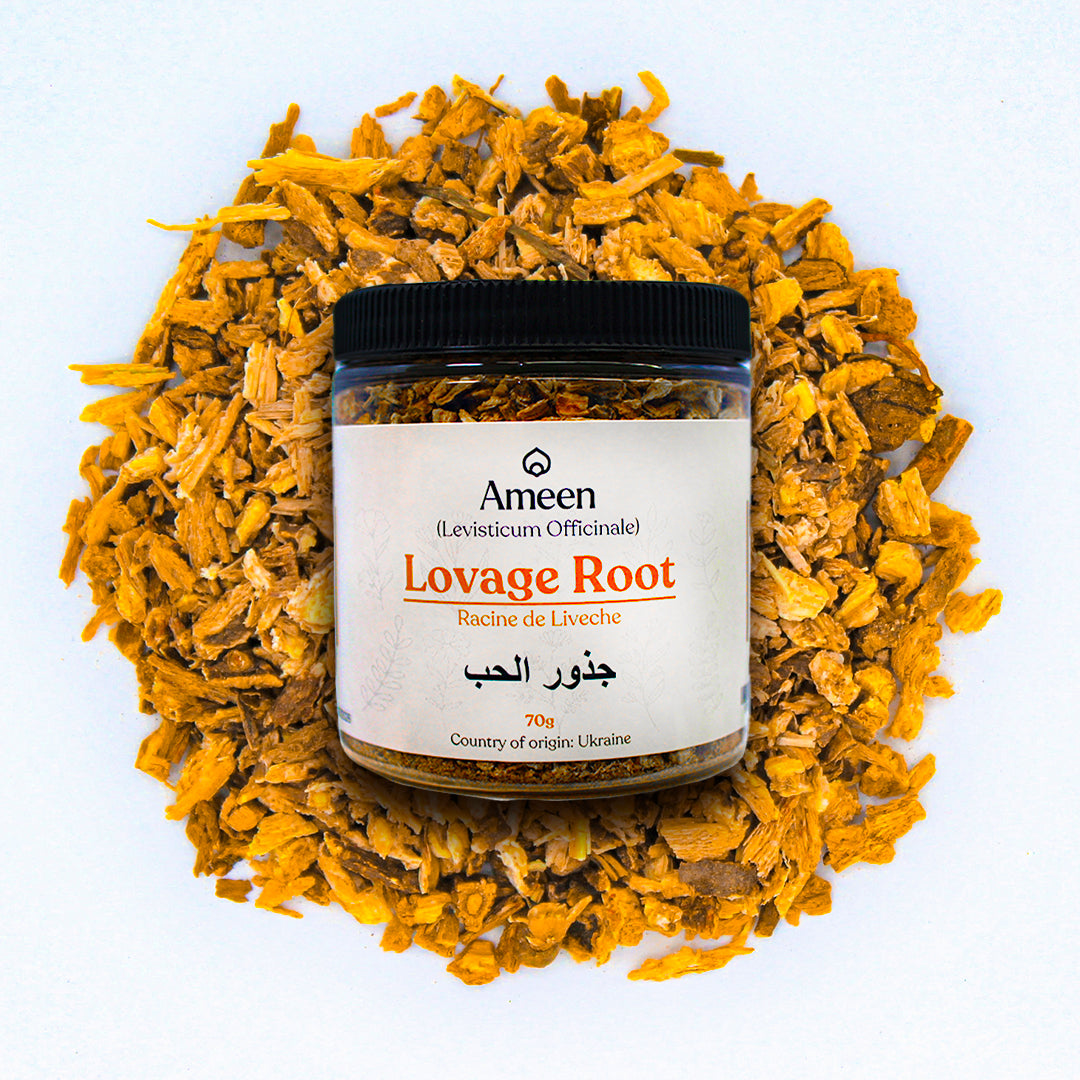 Botanical Name: Levisticum officinale
Common Names: Smellage, Maggi Plant, Old English Lovage, Ligusticum, Levisticum, Sea Parsley, Love Parsley, Italian Lovage, Wild Celery, Smallage, Ajmoda