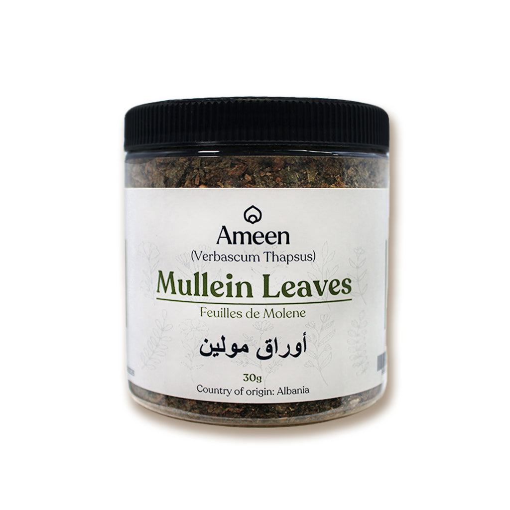 Mullein Leaves,Verbascum thapsus,
Candlewick plant, flannel leaf, velvet plant, felt-wort, tinder plant, Quaker rouge, beggar's blanket, torches, lady's foxglove, Aaron's rod, donkey's ears, hag's taper, witch's candle, common mulluin,&nbsp;Aaron's Rod, Velvet Plant, Torches, Bunny's Ears, Our Lady's Flannel, Jacob's Staff, Flannel Mullein, Great Mullein, Cowboy Toilet Paper, Quaker Rouge, Candlewick Plant