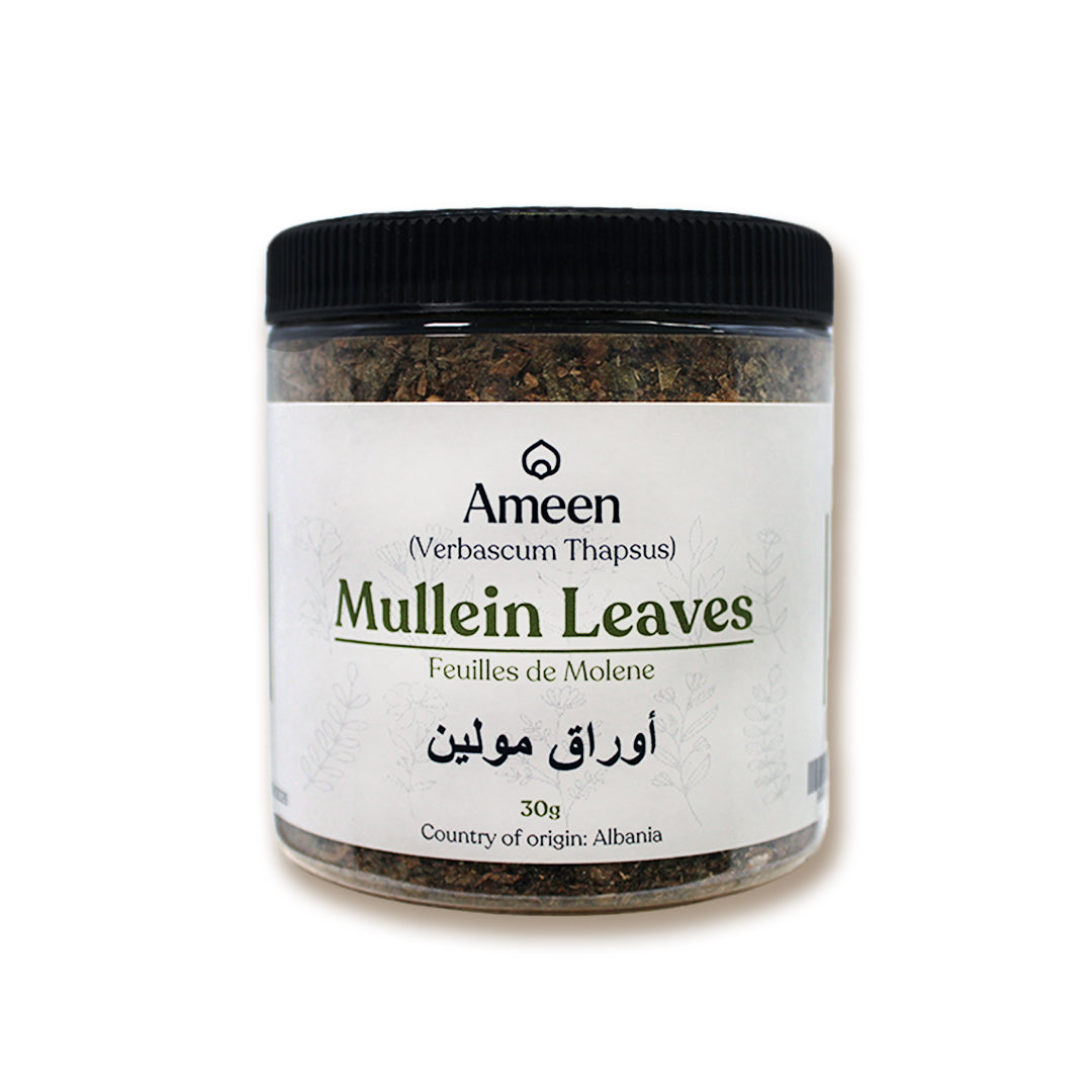 Mullein Leaves,Verbascum thapsus,
Candlewick plant, flannel leaf, velvet plant, felt-wort, tinder plant, Quaker rouge, beggar's blanket, torches, lady's foxglove, Aaron's rod, donkey's ears, hag's taper, witch's candle, common mulluin,&nbsp;Aaron's Rod, Velvet Plant, Torches, Bunny's Ears, Our Lady's Flannel, Jacob's Staff, Flannel Mullein, Great Mullein, Cowboy Toilet Paper, Quaker Rouge, Candlewick Plant