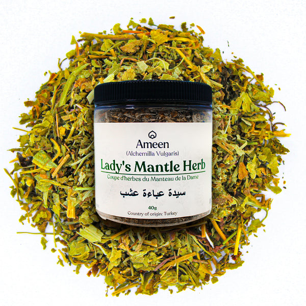 Lady's Mantle Herb