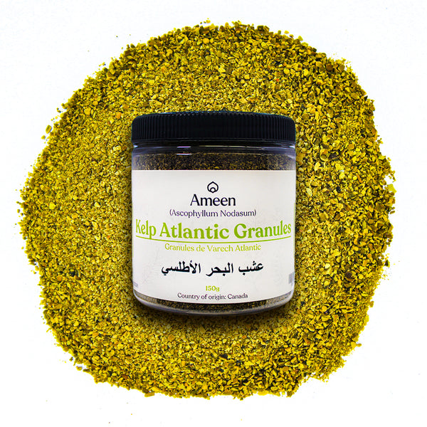 Kelp Atlantic Granules